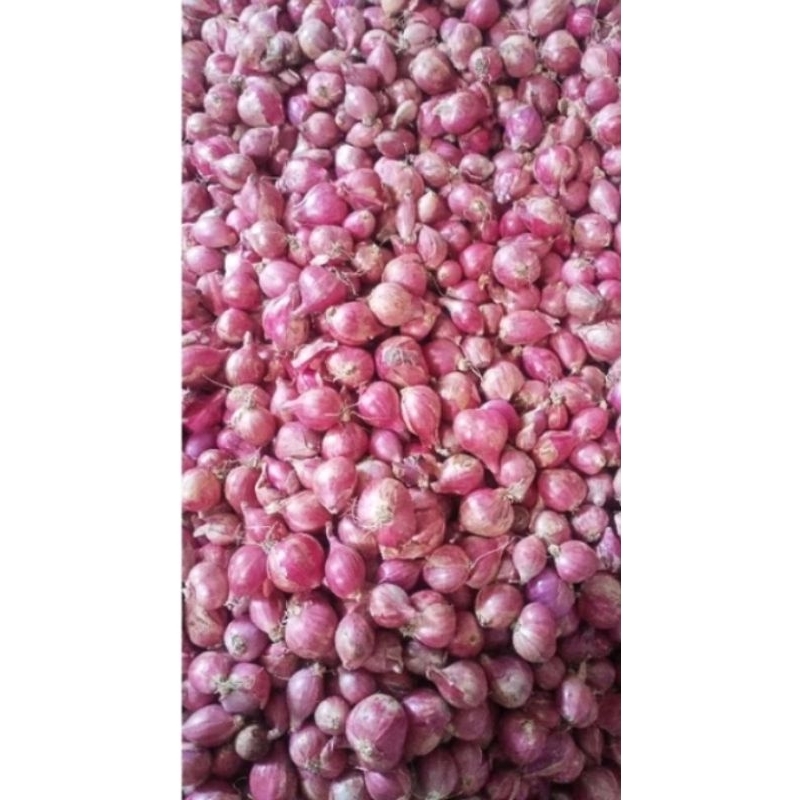 

Bawang Merah Murah 500gram (1/2 kg)