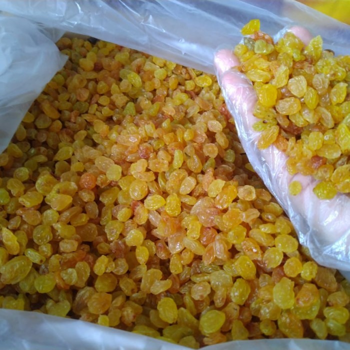 

Kismis Asam Manis 1Kg Golden Raisin Enak & Fresh Cocok Untuk Oleh-oleh Haji Umroh Camilan Sehat