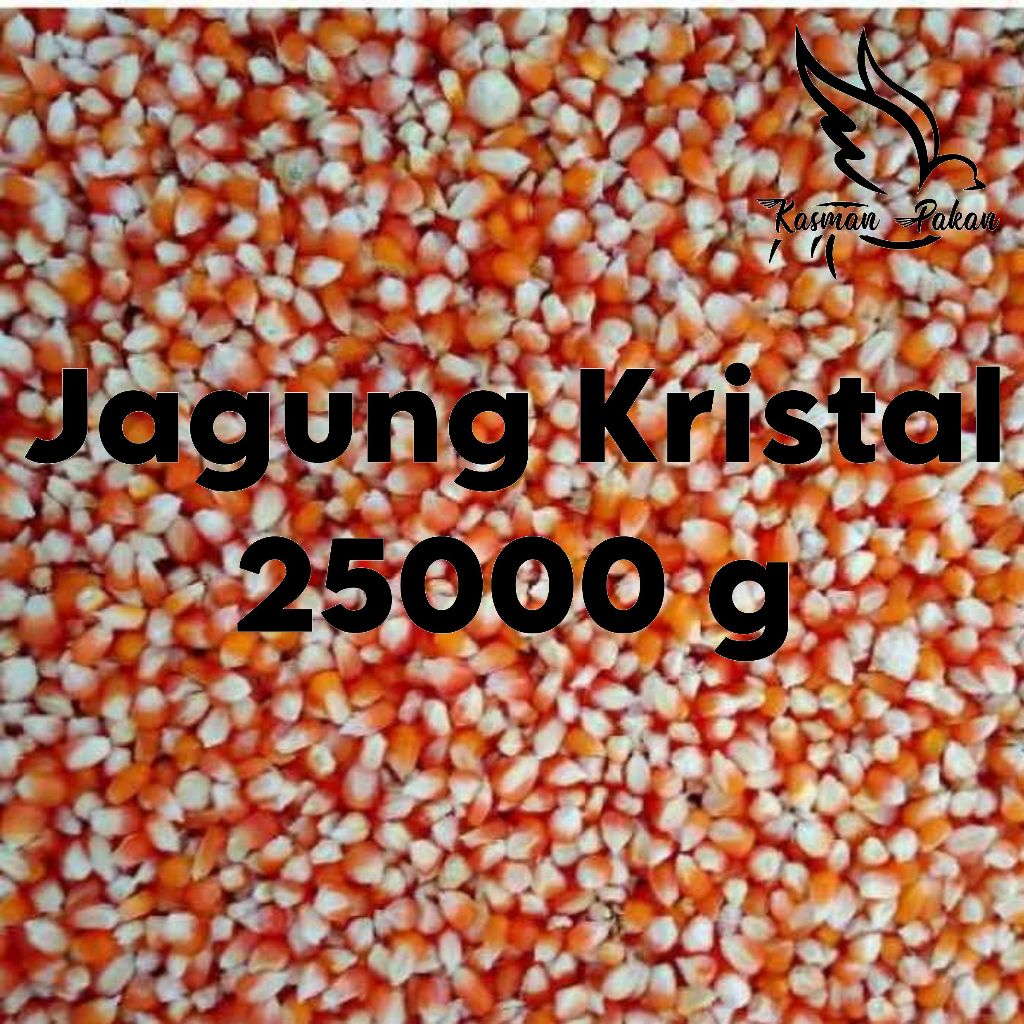 Jagung Kristal Burung Merpati 25 kg