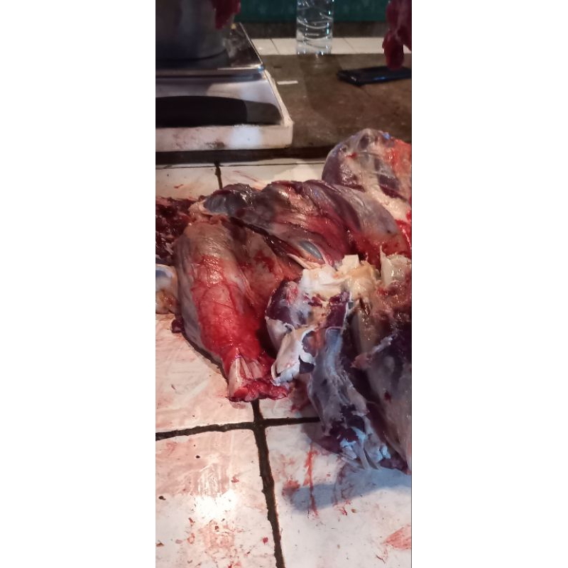 

sengkel 1kg , 500gr , 250gr