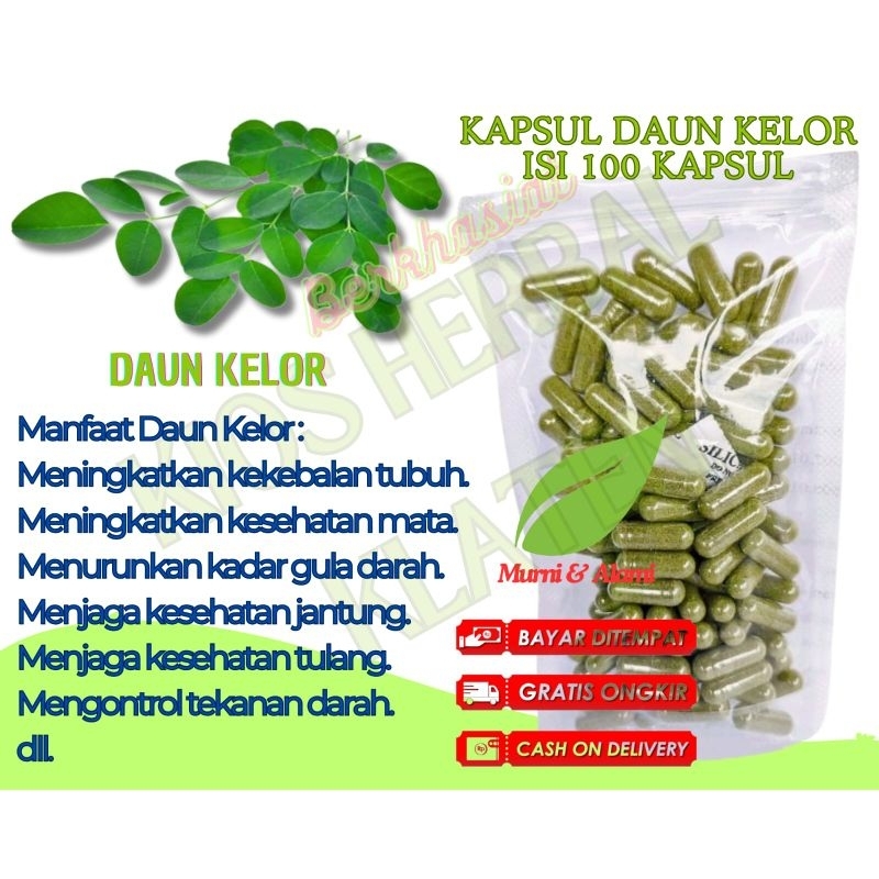 Serbuk daun KELOR/MORINAGA Oliefera isi 100 kapsul untuk kolesterol anemia