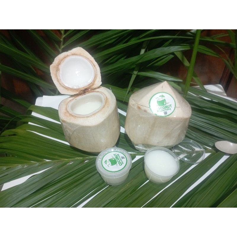 

PUDING KELAPA - PUDDING COCONUT