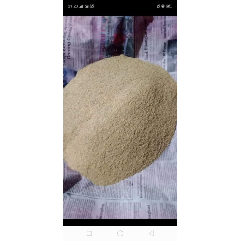 Telur jangkrik alam 1kg