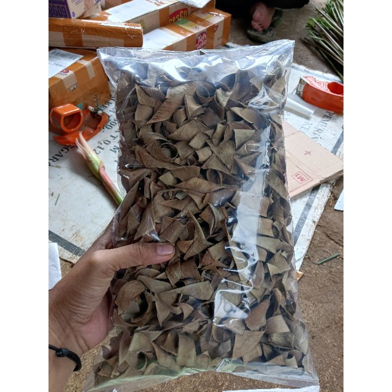 

daun karet kebo kering kemasan jumbo 250 gram