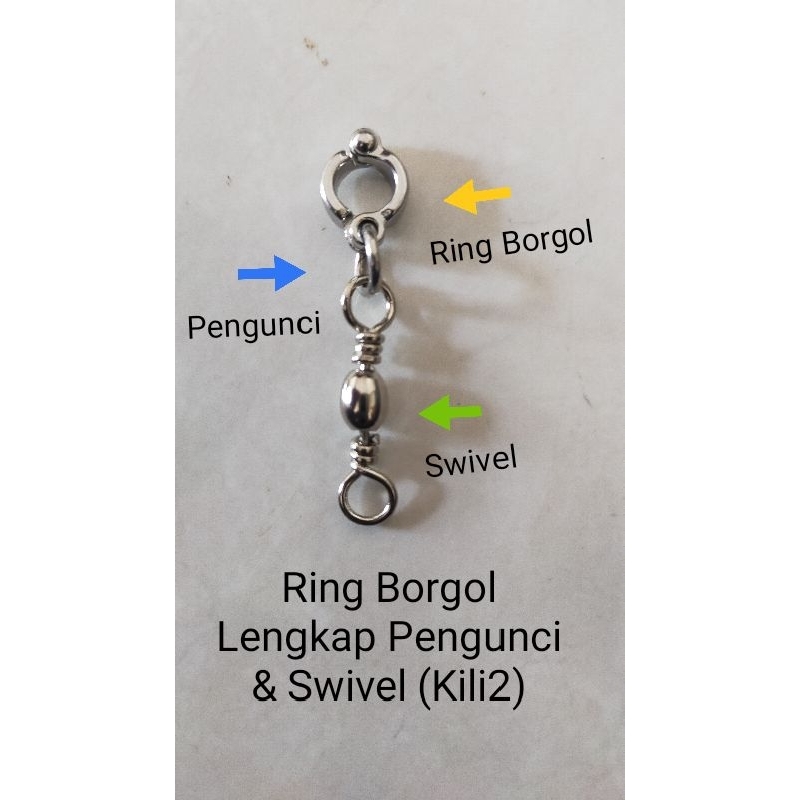 Ring Borgol Untuk Burung Parrot Loverbird Nuri Betet Falk Sunconure