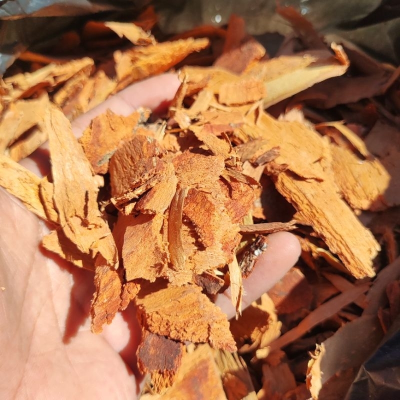 

Cinnamon Herbal Dry - Rempah Tradisional Kayu Manis