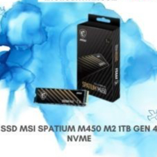 SSD MSI SPATIUM M450 M2 1TB GEN 4 NVME