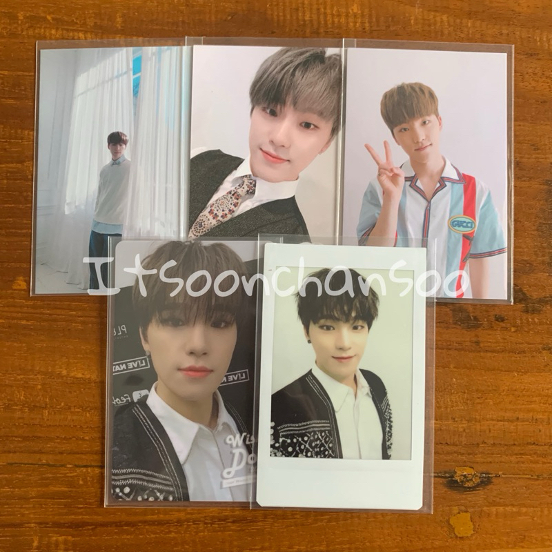 GONGBANG / GB DINO SEVENTEEN GORDEN FEAR OH MY WISHDOL CHEKI