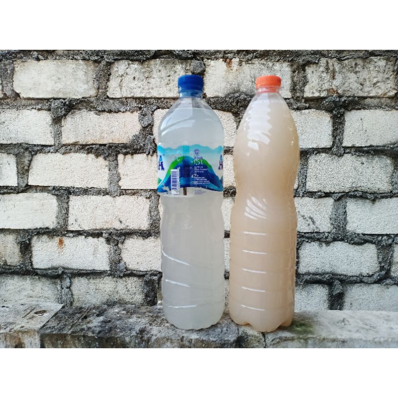 

Paket Mix Puas Satu Botol Air Legen,Satu Botol Toak Dan Satu Buah Siwalan Utuh(Safety Pengemasan)