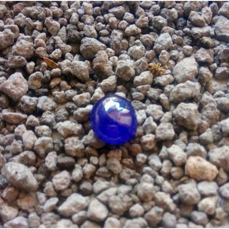 Batu Akik Blue Safir Asli