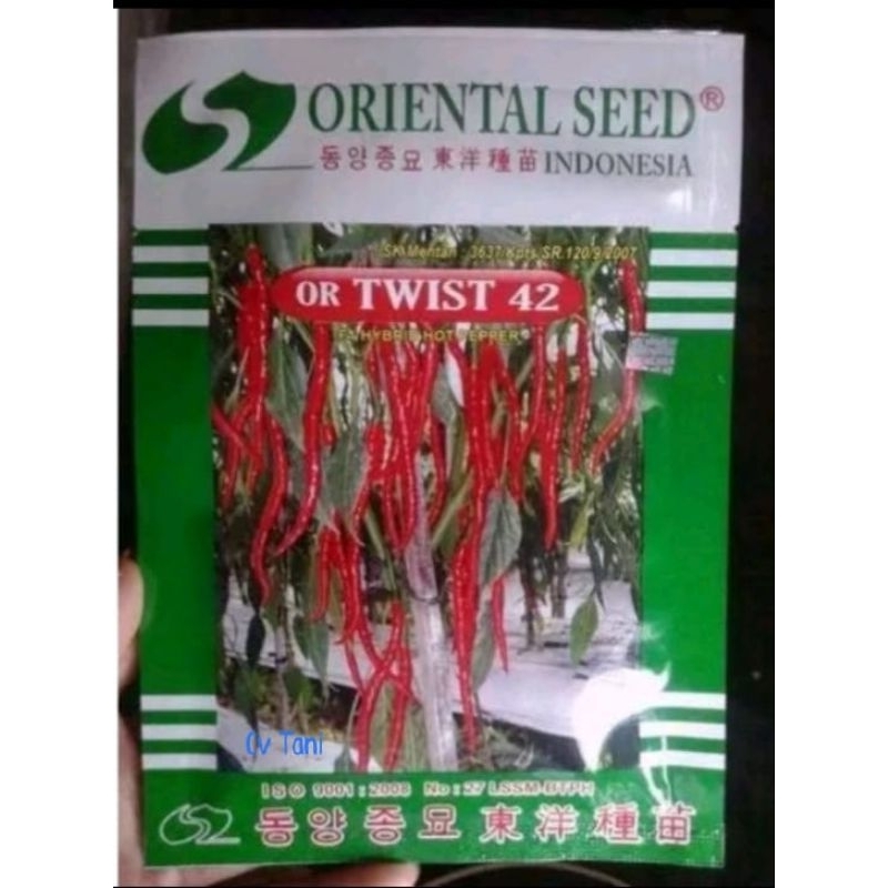 benih cabe keriting OR TWIST 42