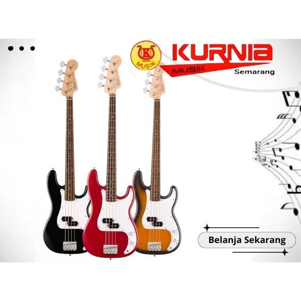 Squier Debut Precision - Squier Debut Series Precision Bass Guitar