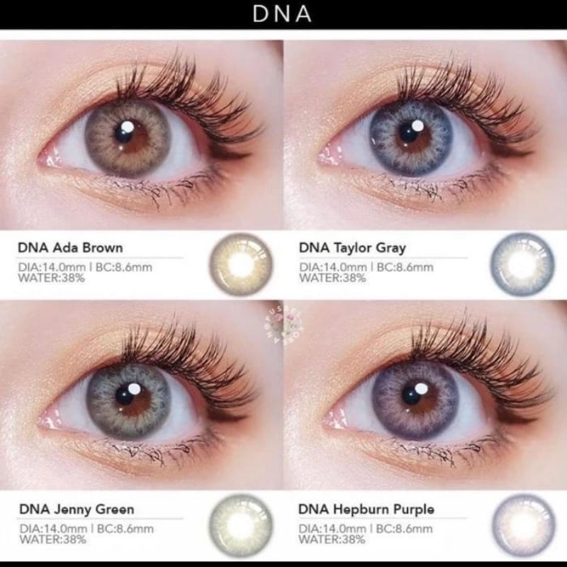 Softlens Urban Factory DNA (Normal) 14,5mm
