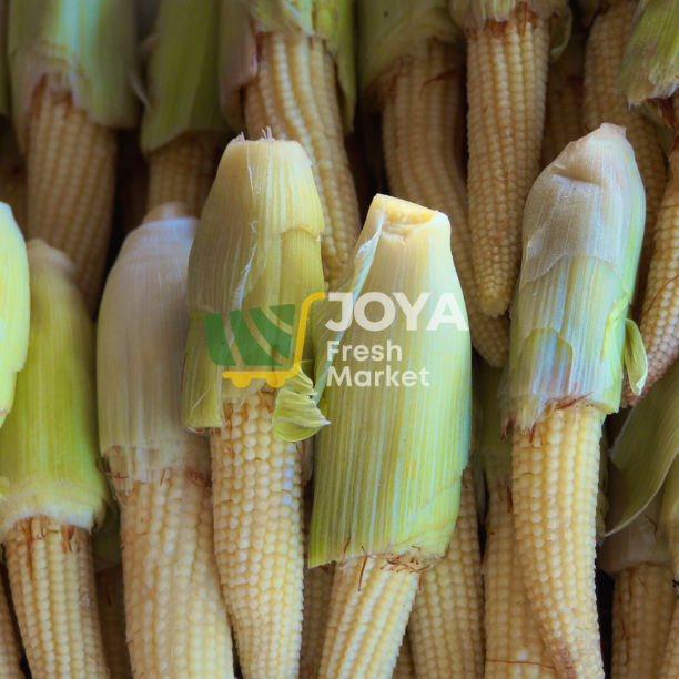 

Joya Fresh - Jagung Muda/Janten/Baby Corn 250 gr