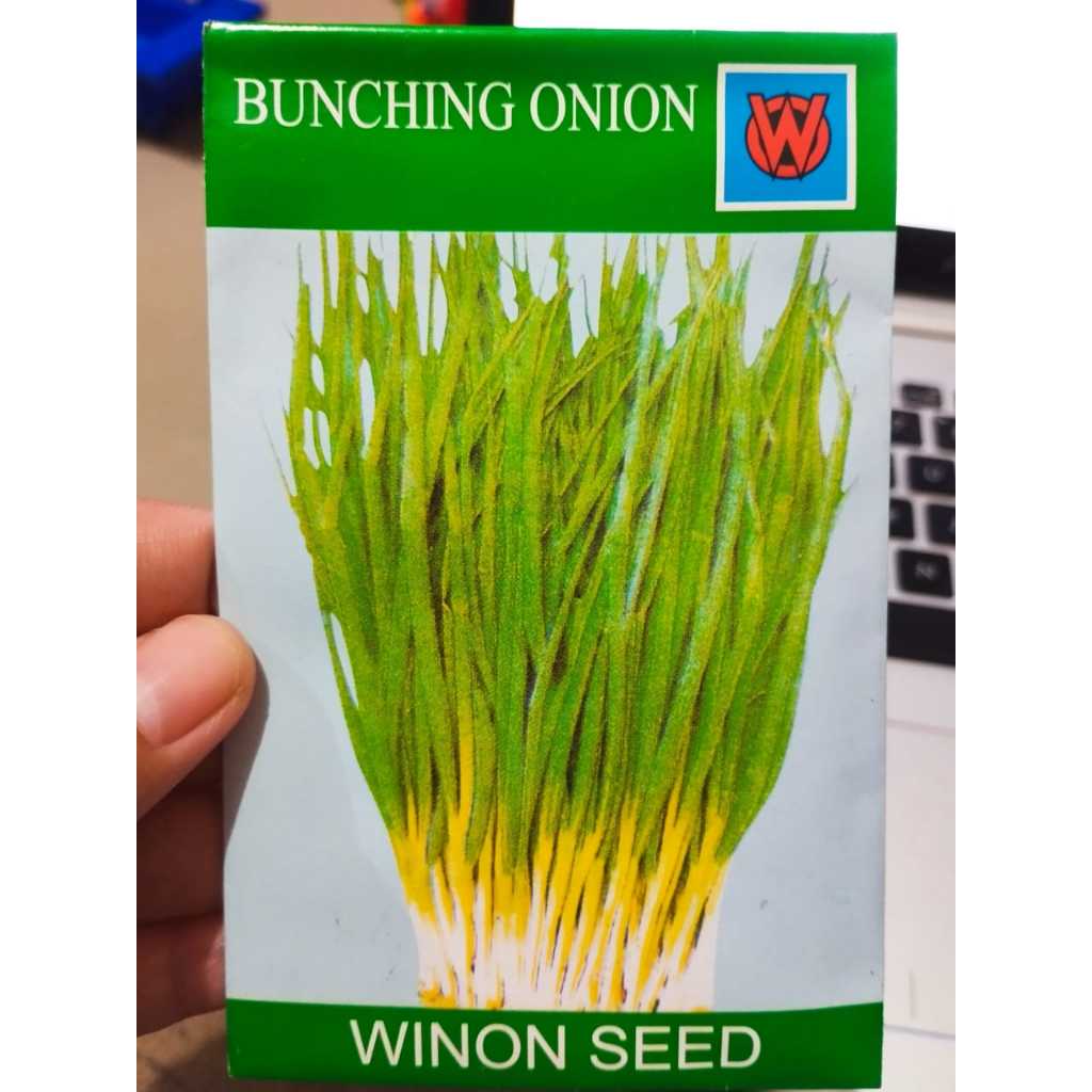 Benih Bunching Onion/Daun Bawang Winon Seed