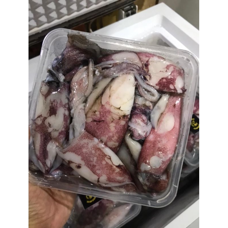 

CUMI SEGAR -BERAT -+1kg