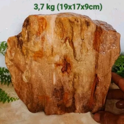 batu akik bahan galih kelor kristal (510)