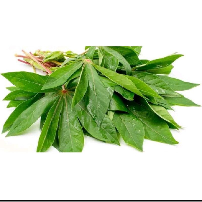 

Daun singkong per iket 500gram