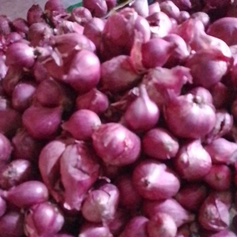 

bawang merah