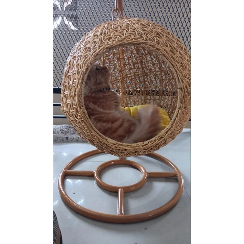 Ayunan Kucing Rotan sintetis Rangka Besi