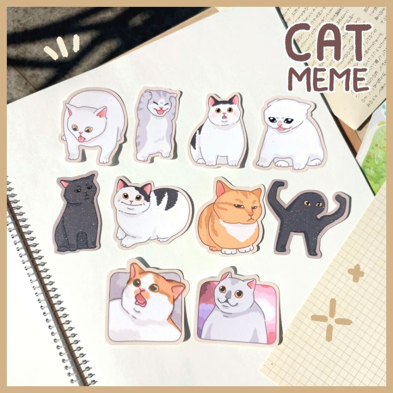 

Stiker Glitter MEME Cat Viral // Meme Kucing lucu // Kucing Viral // Funny Meme