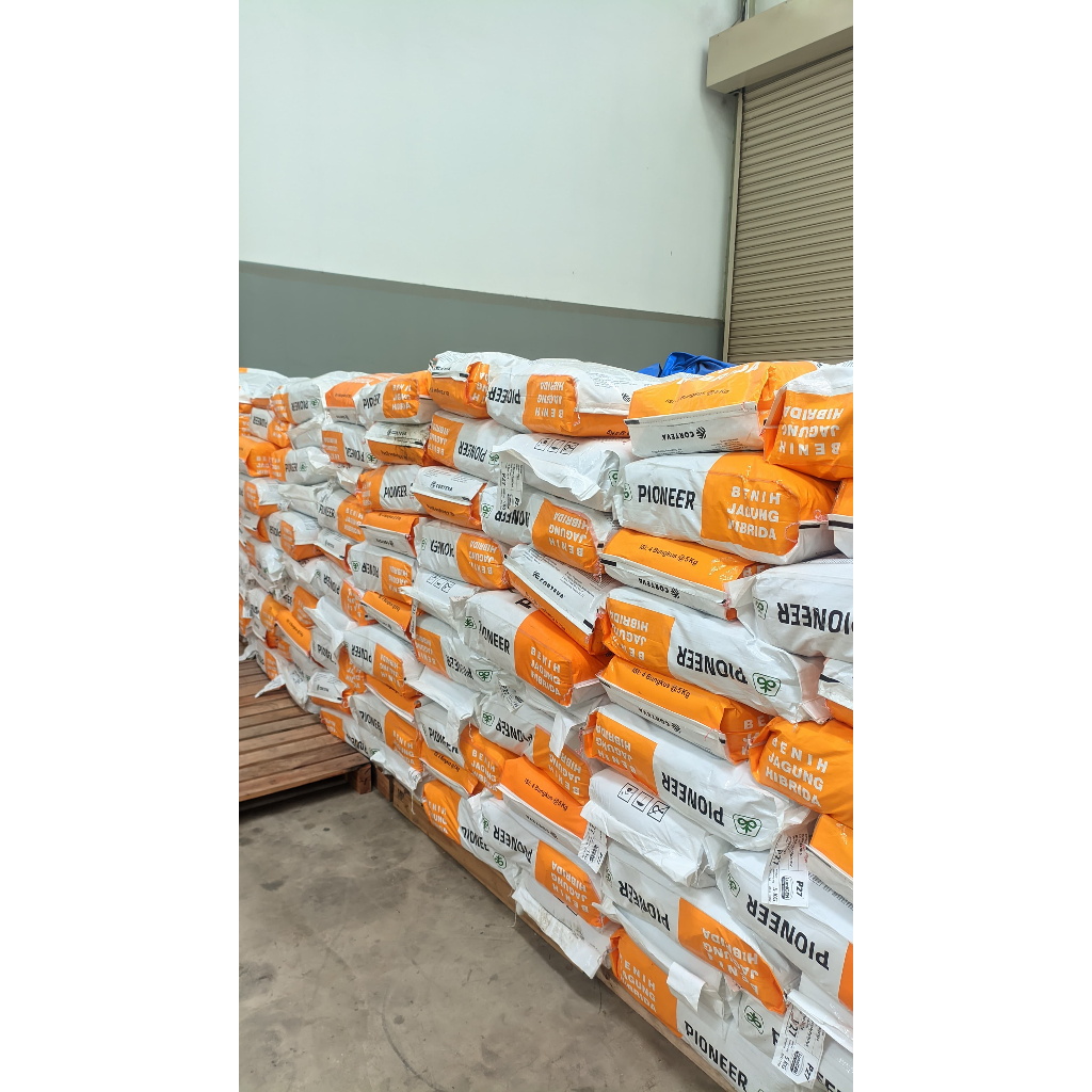 Bibit Jagung P27 Lumigen 5KG