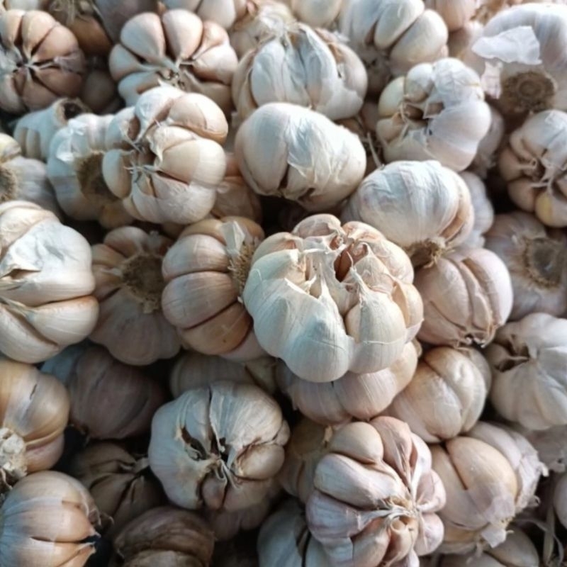 

Bawang Putih Sinco / Biasa 250gr - 1 kg