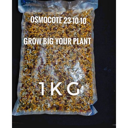 Pilihan Pupuk Osmocote Decastar Slow Release 2311 Pupuk Tanaman Hias Aglonema Anggrek Bonsai 1Kg
