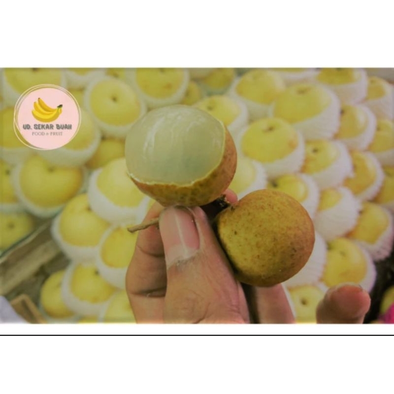 

AFGC [KIRIM INSTAN] LENGKENG BANGKOK g