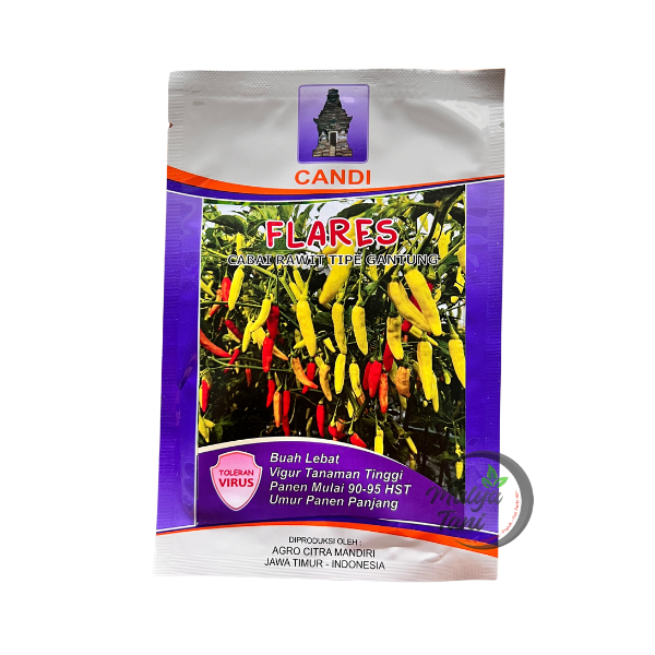 Benih Cabe Rawit Flares Candi Viral 10 Gram