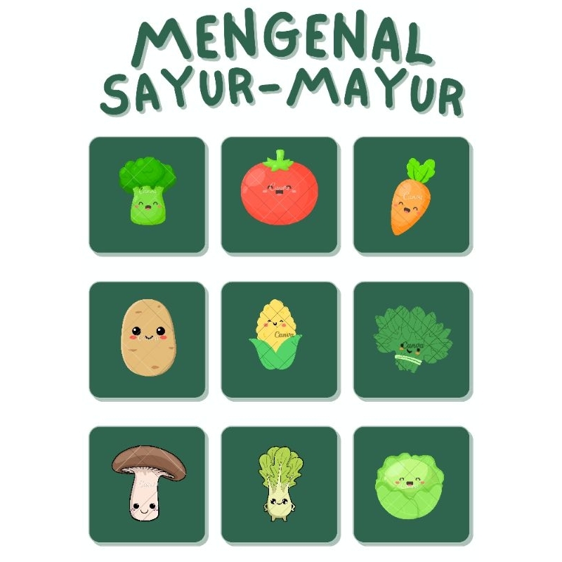 Poster edukasi anak 2 tahun (mengenal sayur)