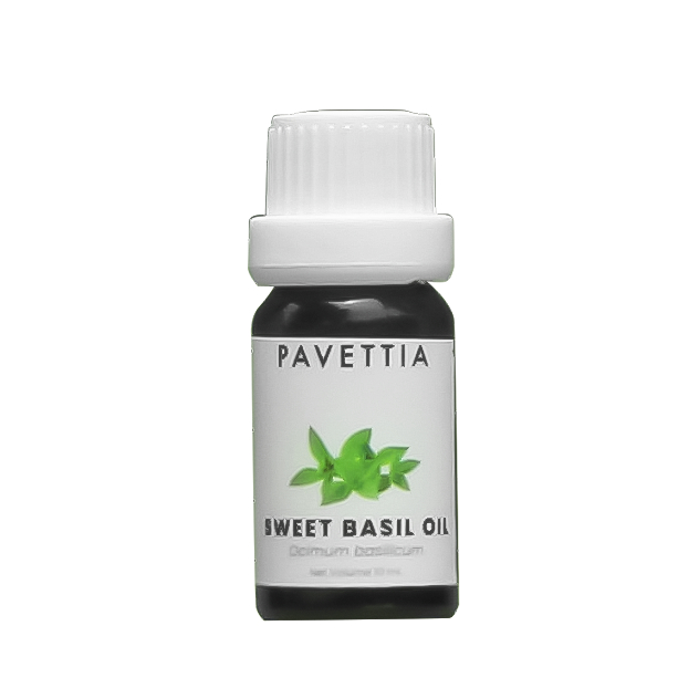 

10 ml sampel - minyak selasih - sweet basil oil (Ocimum basilicum)