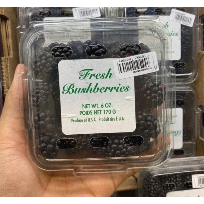 

Buah Blackberry USA 170 Grm Premium