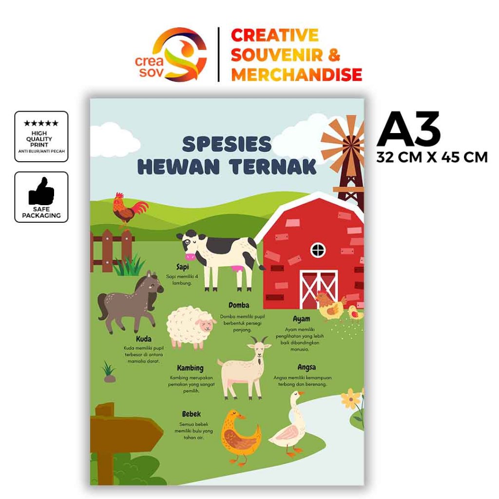 Creasov - Poster Hewan Ternak Poster Binatang Ternak Poster Edukasi Hewan Poster Edukasi Anak