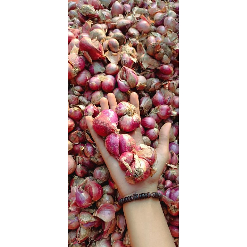 

bawang merah dari petani langsung 1kg