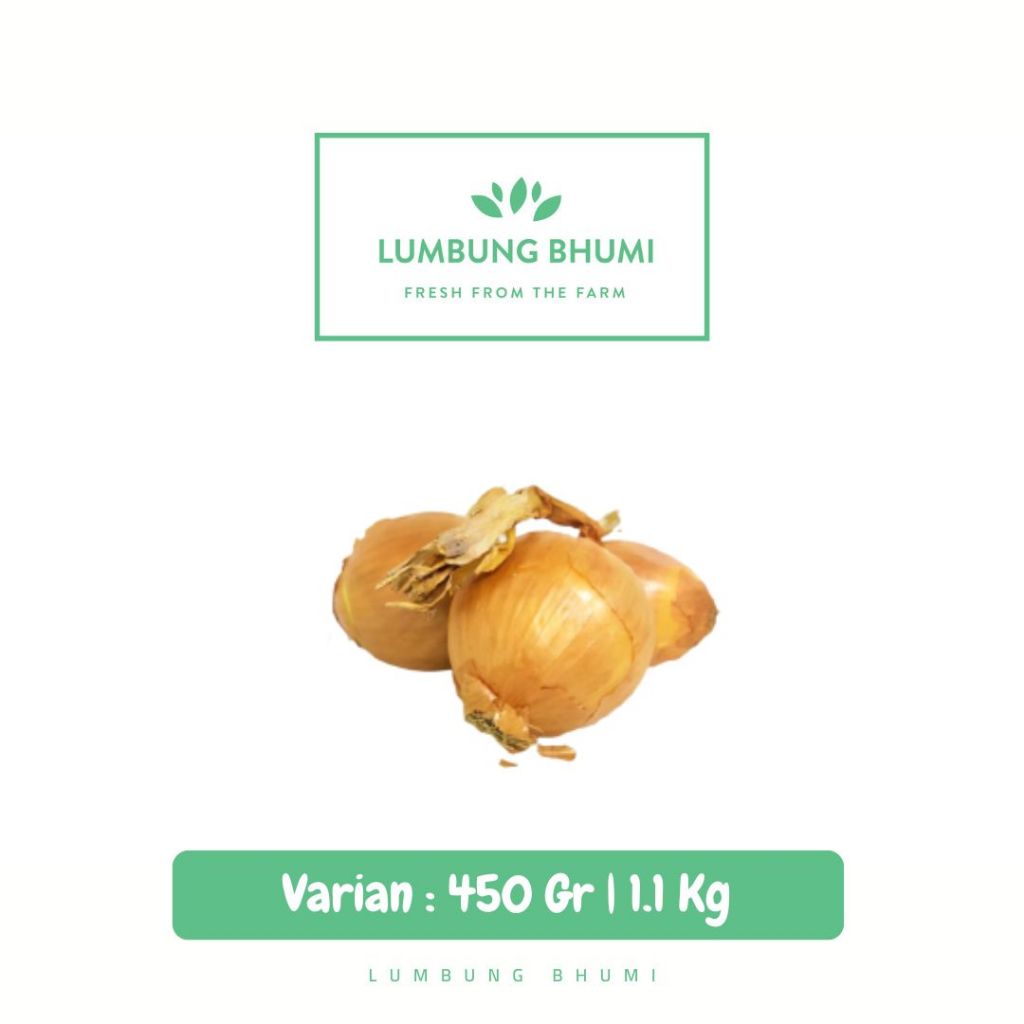 

Bawang Bombay BESAR Sayur - Lumbung Bhumi