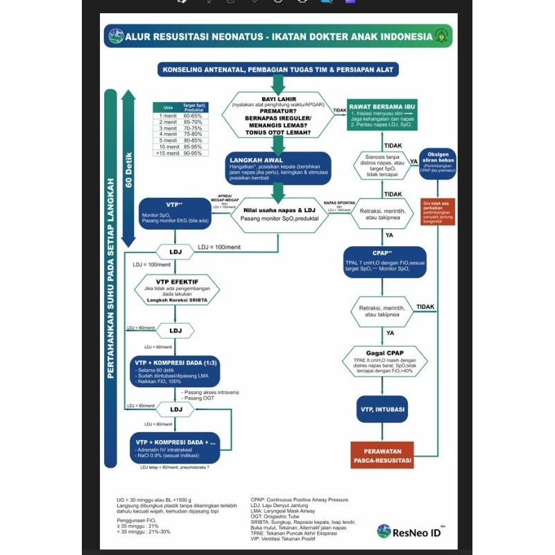 Ready Stok Banner Alur Resusitasi Neonatus Ukuran 40x60 cm