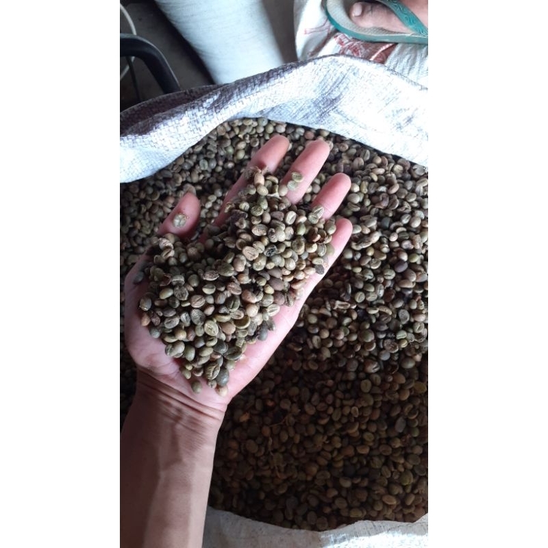 

kopi robusta