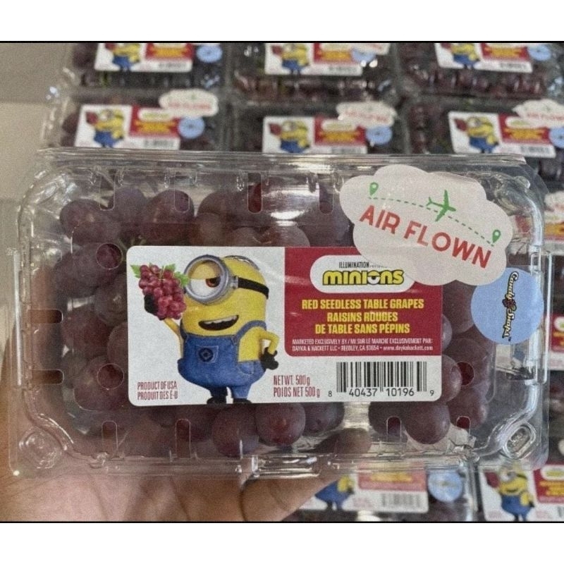 

Anggur Candy Snap 1 Pack 500 Gram