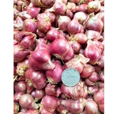 

bawang merah 1 jg fresh bawang merah superan