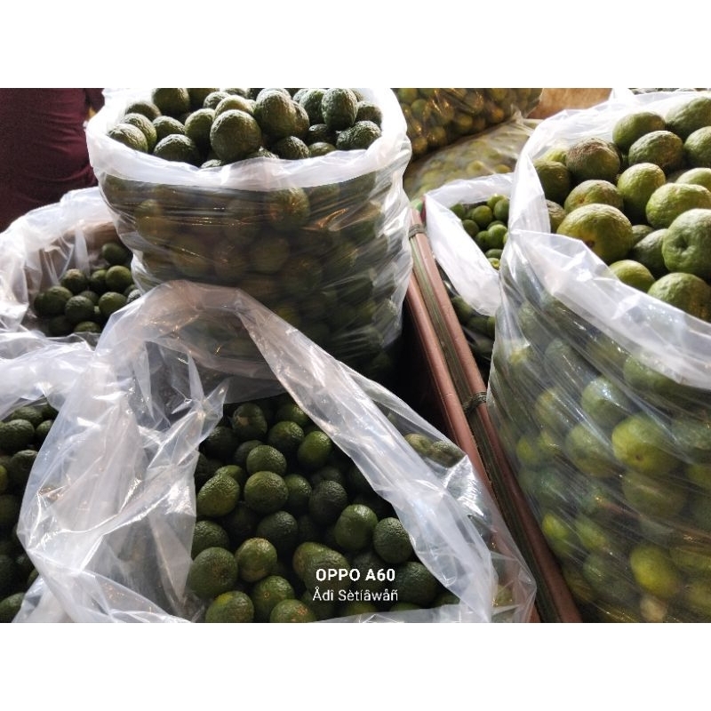 

Jeruk Limau Besar Fresh