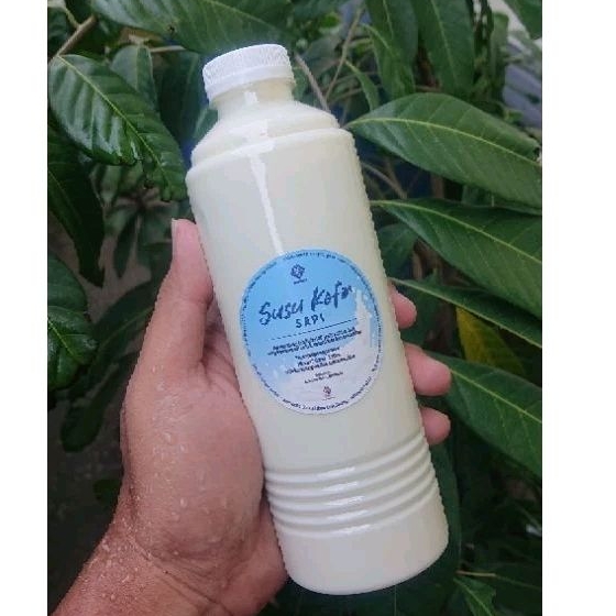 

Susu Kefir Sapi Original Susu Kefir Fermentasi 48 Jam