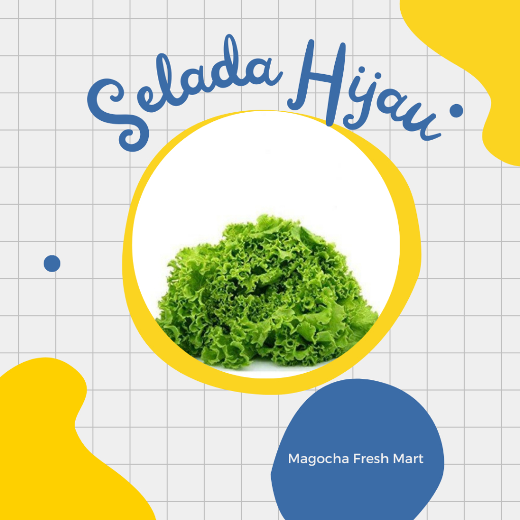 

Selada Hijau Fresh 100gr/250gr/500gr/1kg