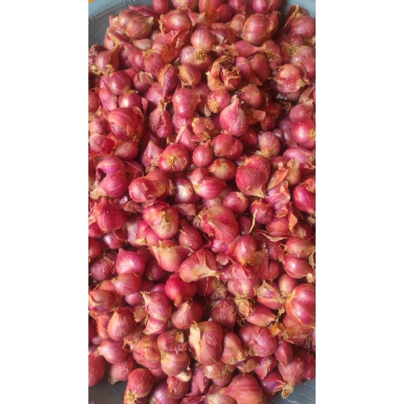 

Bawang Merah 1 kg