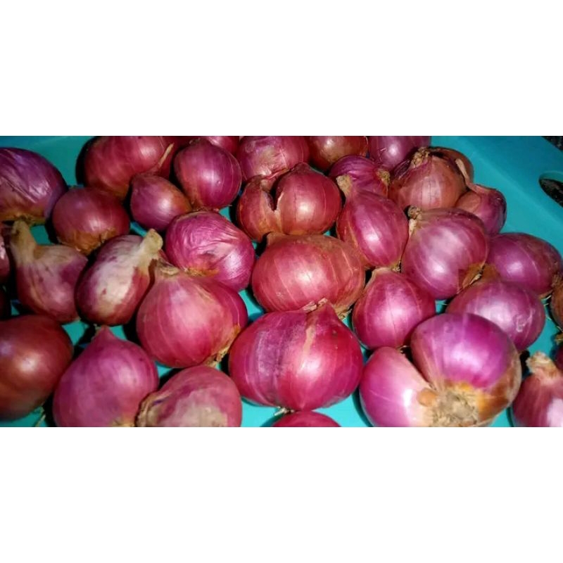 

bawang merah asli Nganjuk 500 gram