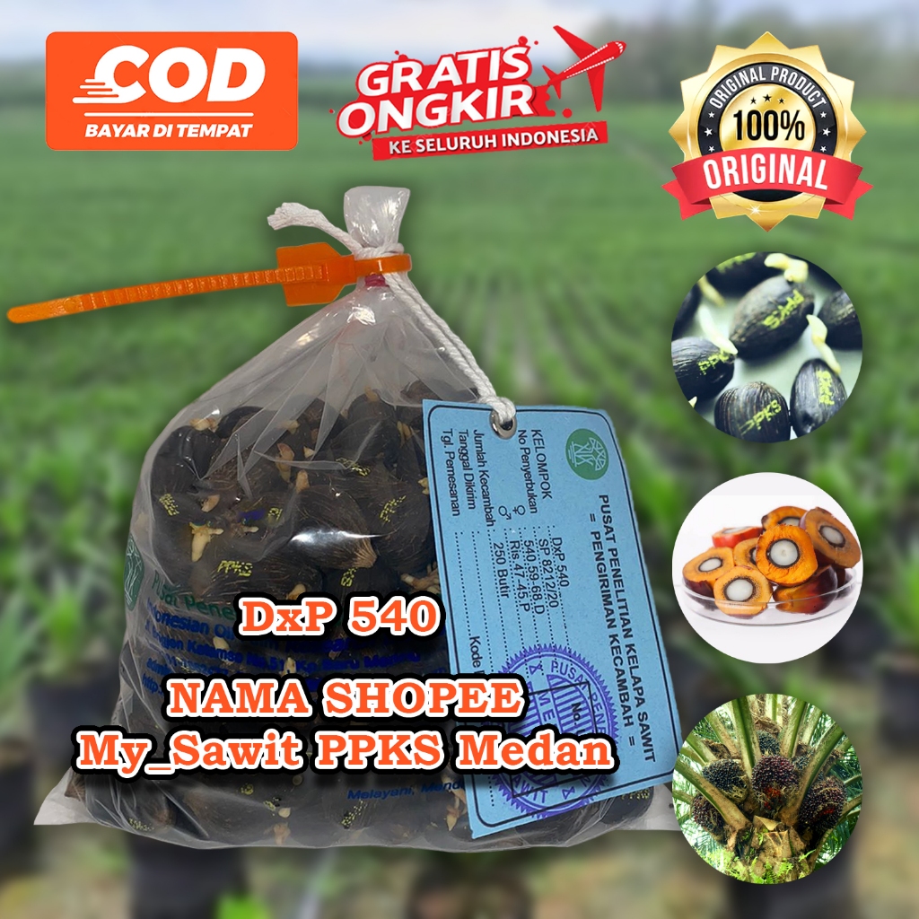 PPKS DXP 540 UNGGUL DAPAT SERTIFIKAT DAN BONUS