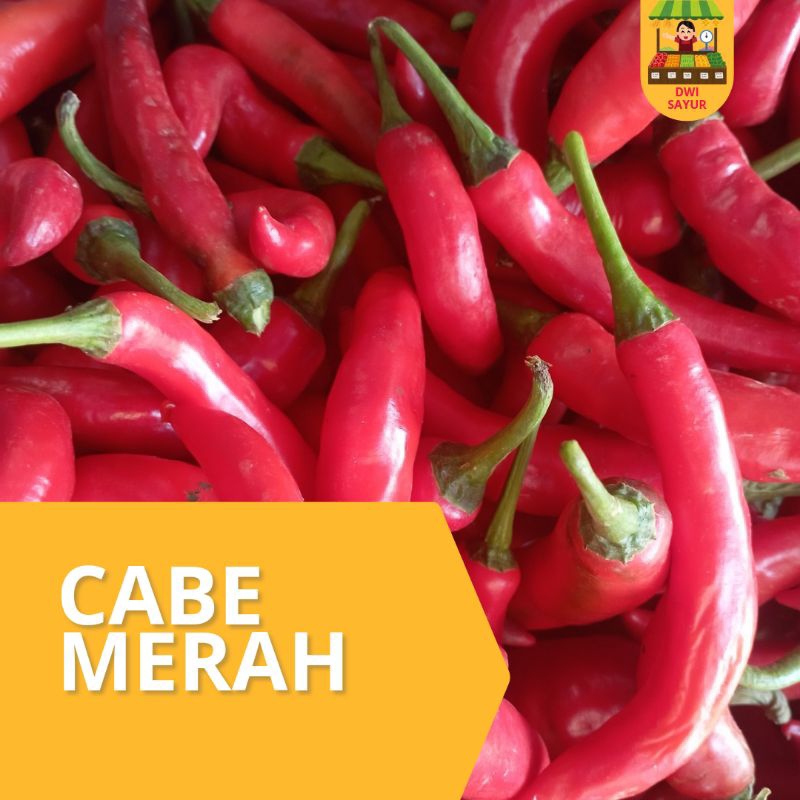

Cabe Merah Besar 250g, 500g