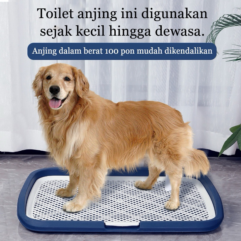 pet toilet anjing besar - pet toilet anjing