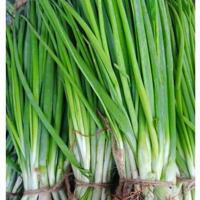 

Daun Bawang Segar Mayur Fresh Daily