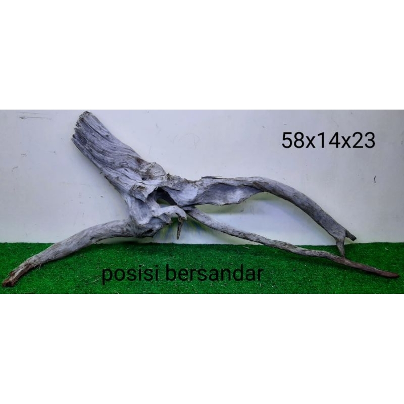 Bonggol Kayu Santigi Laut - Kayu Tenggelam - Aquascape - Taman - 58x14x23 B3